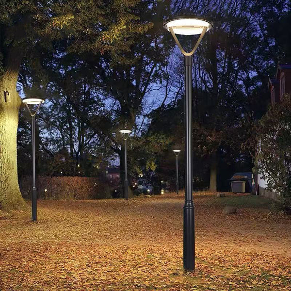 Street solar sensor road lights illuminating a park at night with trees and grass.