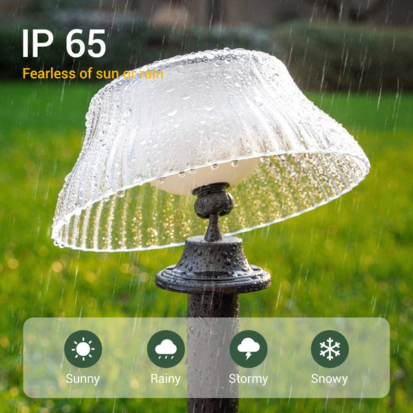Bright warm white LED solar light for cozy outdoor ambiance