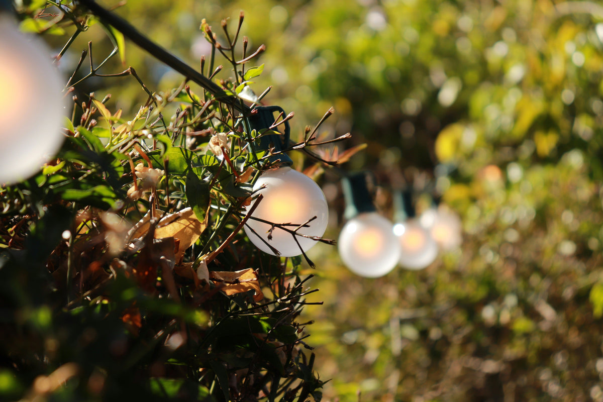 Solar Decorative Lights