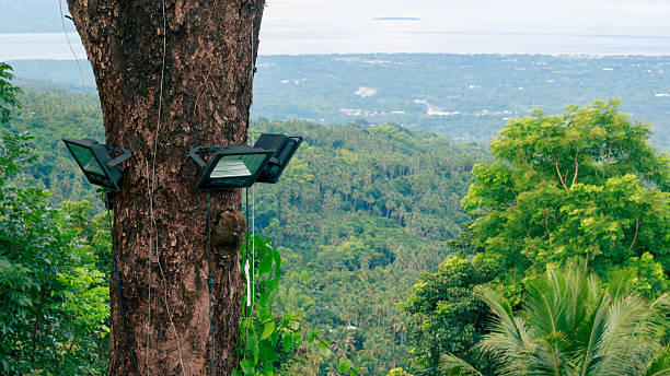 Solar Floodlights