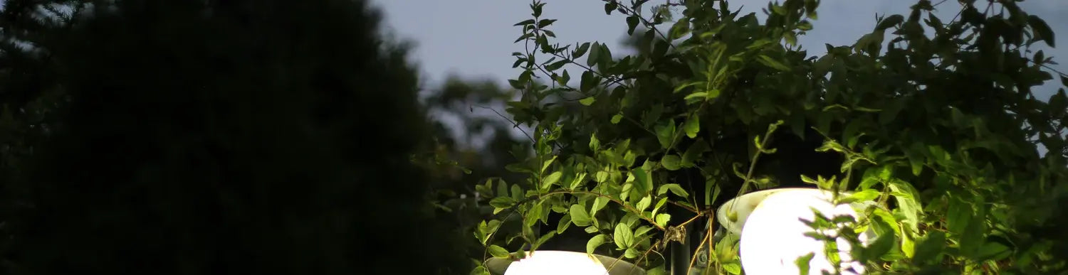 Solar Pillar Lights