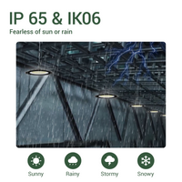 LED light fixture under rain with text 'IP 65 & IK06' indicating weather resistance.