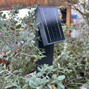 Rivix Solar Pathway Lights PT0723