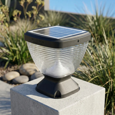 Nexi Solar Pillar Light PT0112 with ribbed clear PC dome and integrated 5W monocrystalline solar panel, mounted on rendered concrete pillar, native Australian garden in background, daytime