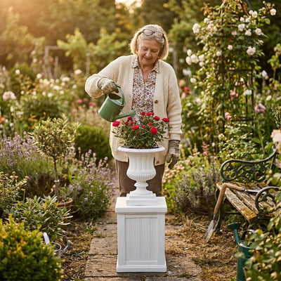 Elderly woman watering red roses in white OUTWAY Flora Roman planter on pedestal, lush cottage garden golden hour — F004-F006-flora-combo-garden-elderly-rose-watering