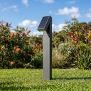 Rivix PT0723 dark grey aluminium solar bollard light standing upright in a sunlit Australian garden, with native flowering shrubs including bottlebrush and kangaroo paw in the background under a blue sky.
