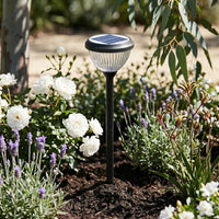 Solar-powered garden light in a flower bed with white flowers and lavender.