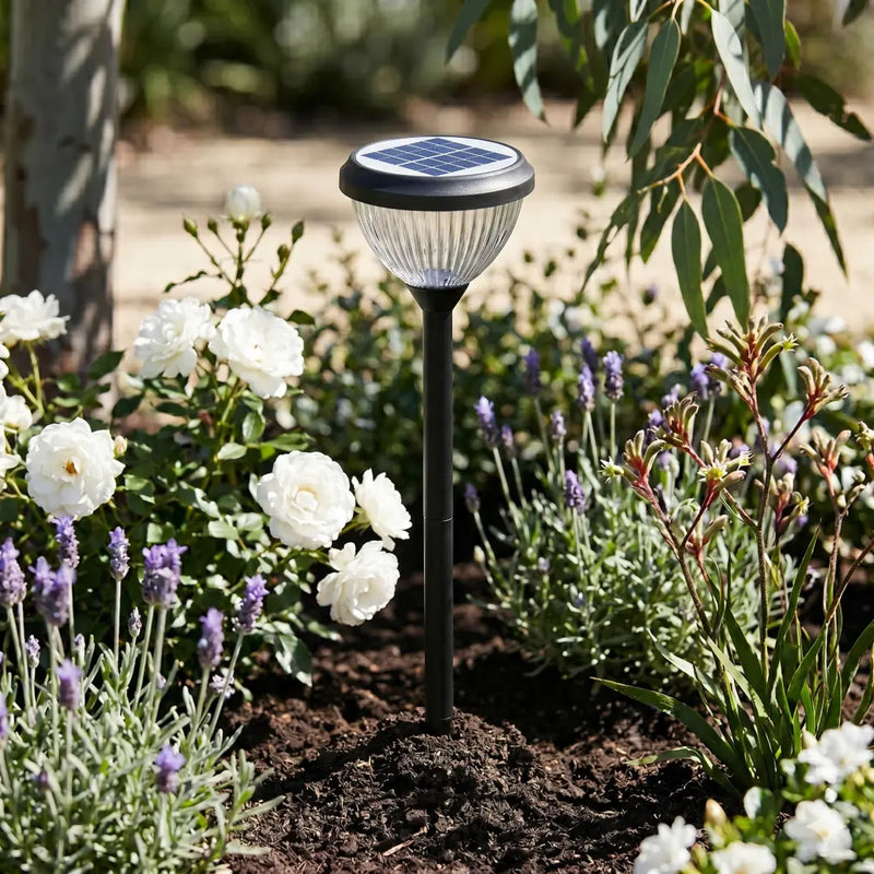 Solar-powered garden light in a flower bed with white flowers and lavender.