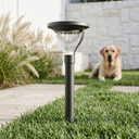 Row of solar pathway lights illuminating a poolside walkway at night, creating dramatic starburst shadows on stone pavers while a man relaxes with a drink and his dog sleeps nearby — perfect for luxury backyard entertaining and ambient evening lighting.