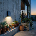 Potted plants on a ledge with a wall-mounted light fixture at dusk.