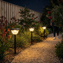 Garden pathway illuminated by solar lights at night