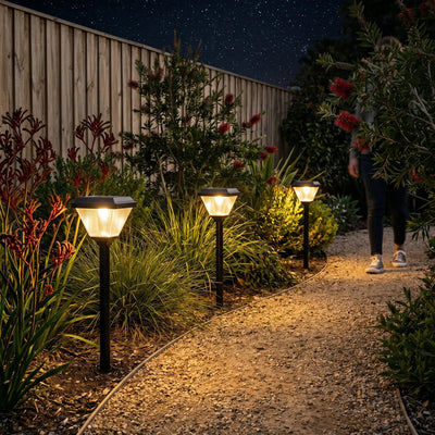 Garden pathway illuminated by solar lights at night