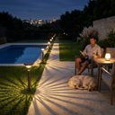 Solar garden path light with optical lens casting radial shadow patterns on grass, featuring a modern matte-black stake design and a Labrador Retriever resting in the background — ideal for contemporary Australian lawns and pet-friendly outdoor spaces.