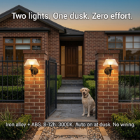 Two wall-mounted lights on a brick house exterior with a dog sitting in front.