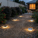 A dog walks along a gravel path in a backyard at dusk, illuminated by several small rectangular solar ground lights embedded in the ground.