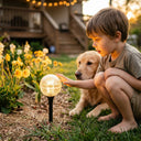 A young boy and a golden retriever puppy looking curiously at a glowing solar garden light at dusk.