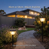Garden pathway with adjustable height solar lights and a dog lying on the grass.