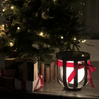 Fairy Lights & Floor Lamp Set