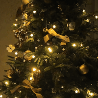 Fairy Lights, Lawn Lights & Wall Lights Collection