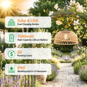 Solar and USB light fixture in a garden with features highlighted.