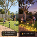 Split-view comparison: solar lights charging in daylight (left) and glowing at dusk (right), with text “Set It. Forget It. It Just Works.” and icons for “Auto OFF at dawn / Solar powered” and “Auto ON at dusk” — emphasizing effortless automation for busy homeowners.