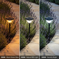 Three views of a solar-powered garden light illuminating lavender plants on a stone path.
