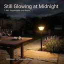 Outdoor setting with a solar lamp illuminating a table and lavender plants at night.