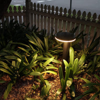 Solar garden light illuminating a garden bed with a wooden fence in the background