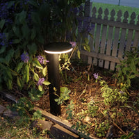 Solar lawn light illuminating a garden area with plants and a wooden fence in the background.