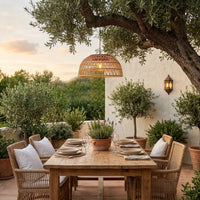 Outdoor dining setup under a large tree with a wooden table and wicker chairs.