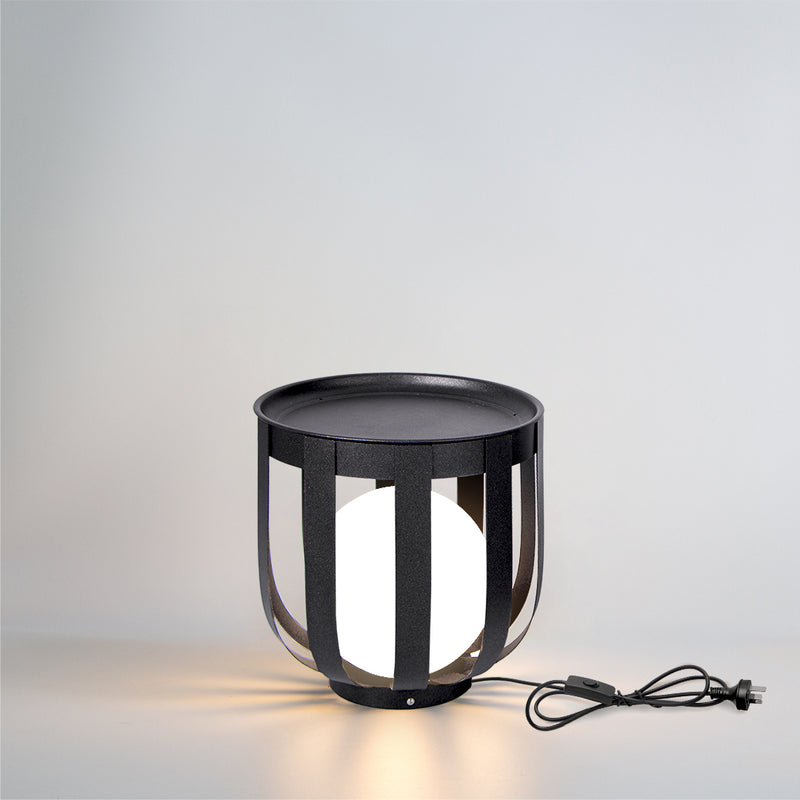 2IN1 Indoor LED Decorative Light PT0805D