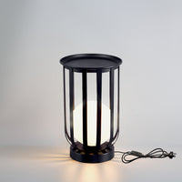 2IN1 Indoor LED Decorative Light PT0805D