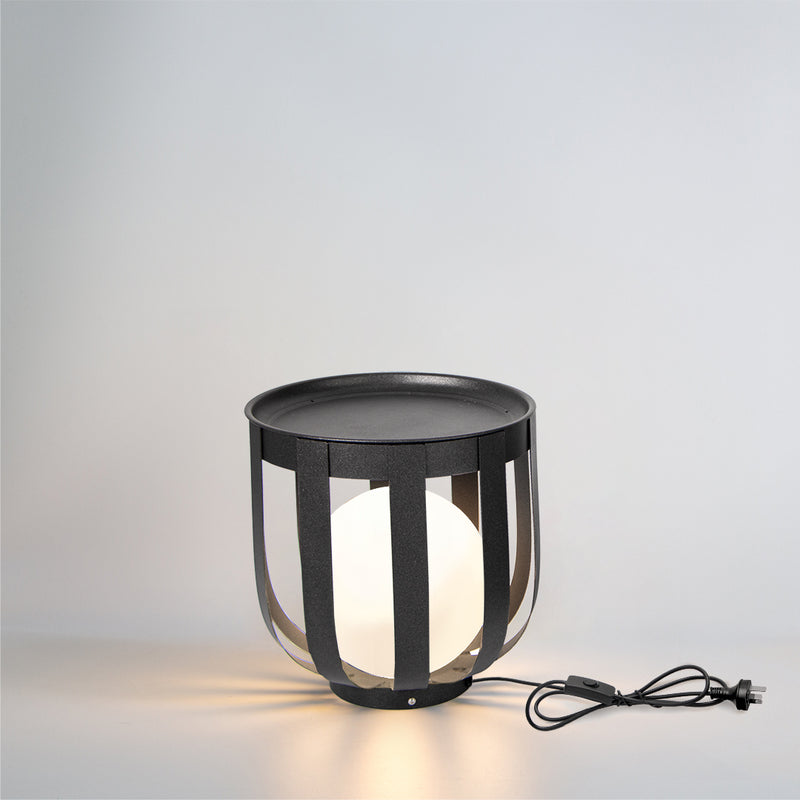 2IN1 Indoor LED Decorative Light PT0805D