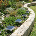 Solar-powered garden lights embedded in a garden bed with a stone border.