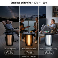 PF004 table stepless dimming from 10% to 100% with 3H, 5H, or 8H timer settings.