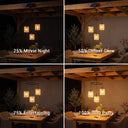 Comparison chart displaying four brightness levels from 25 percent Movie Night to 100 percent BBQ Party for the solar lights.