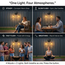 Four different scenes showing people interacting with a light fixture labeled 'One Light. Four Atmospheres.'