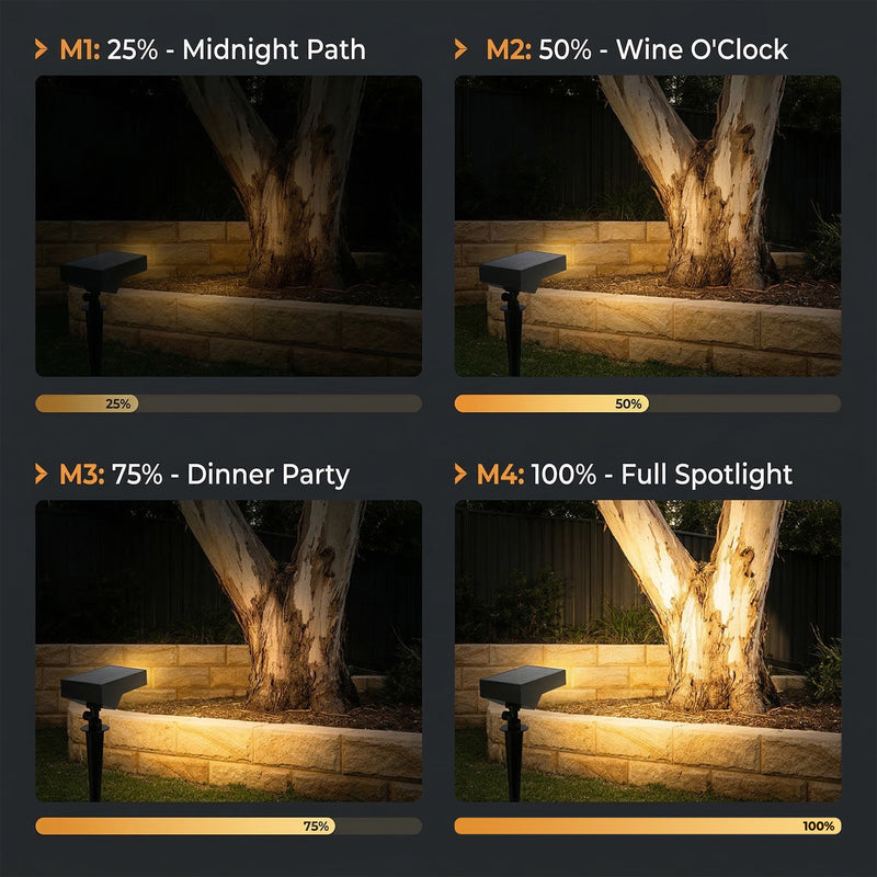 Lighting effect comparison on a tree stump with four different settings.