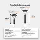 Product dimensions diagram showing two solar garden stake lights with labeled measurements for length and height, plus a specification table below on a light gray background.