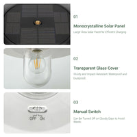 Solar wall light with a monocrystalline solar panel, a transparent glass cover, and a manual switch