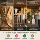 Outway F005 F006 Petra planter gift three moments wrapped kraft paper joyful arrival placed entrance housewarming mothers day christmas