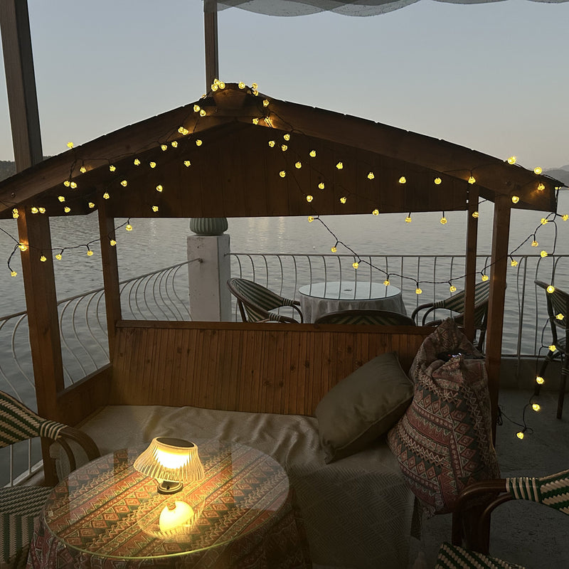 Lawn Lights & Wall Lights Duo