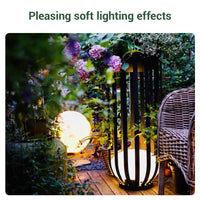 Garden pathway with soft lighting effects, flowers, and a chair.