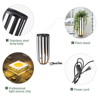 Collage of a stainless steel indoor floor lamp with plant stand, light source chip, and power cord.