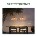 Two solar handwoven bamboo ceiling lights hanging over a dining table with 'Color temperature' text and 'Warm White 3000K' label.