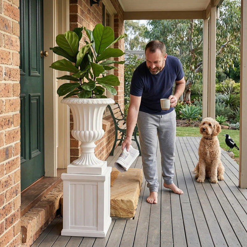 Outway F005 F006 Petra roman sandstone planter pedestal verandah man coffee fiddle leaf fig dog magpie Australian morning
