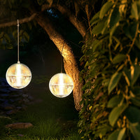 outdoor solar ball lights hanging from a tree branch at night.