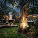 PT0714 solar landscape spotlight illuminating gum tree Australian family BBQ backyard evening warm atmosphere
