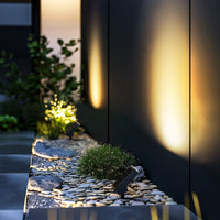 Outdoor pathway with illuminated solar lights and plants on a dark evening.
