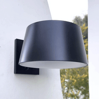 Leo Motion Sensor Solar Wall Light PT0719